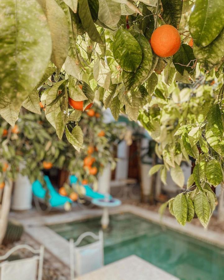 Riad Slitine & Spa Μαρακές Εξωτερικό φωτογραφία